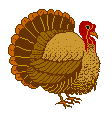 turkey4